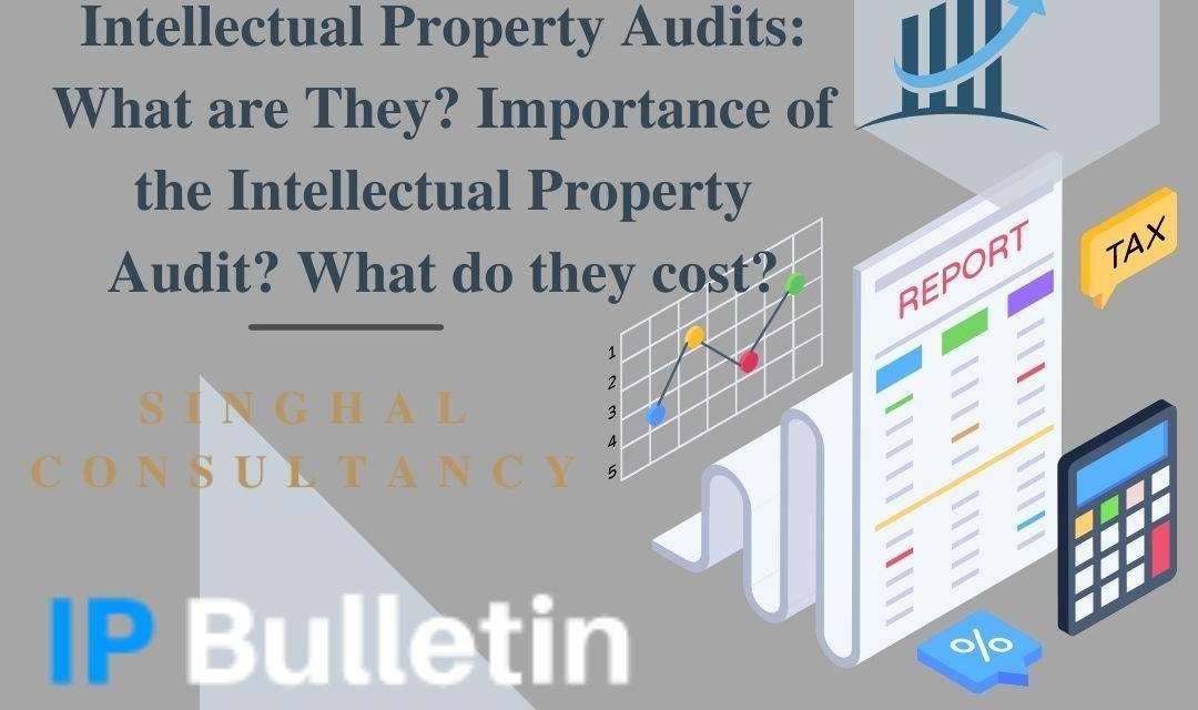 Intellectual Property Audits: What are They? Importance of the Intellectual Property Audit? What do they Cost?